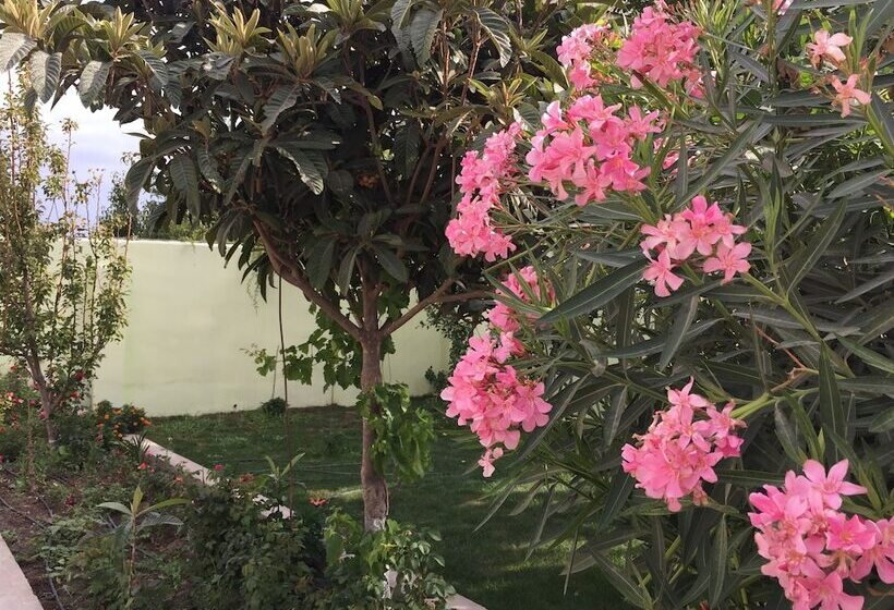 Pensiune Hasanovs Villa