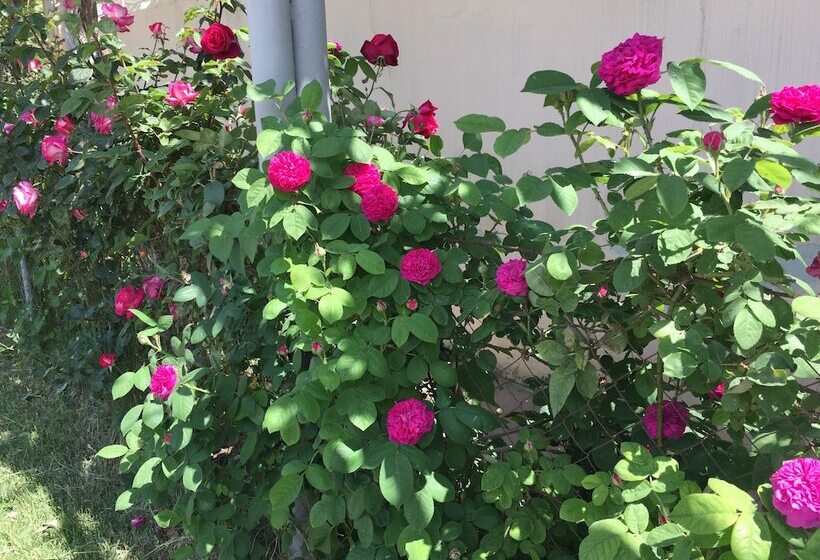 Pensiune Hasanovs Villa