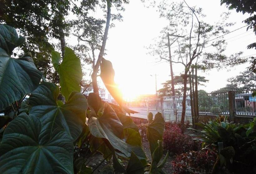 پانسیون Hostal La Molienda