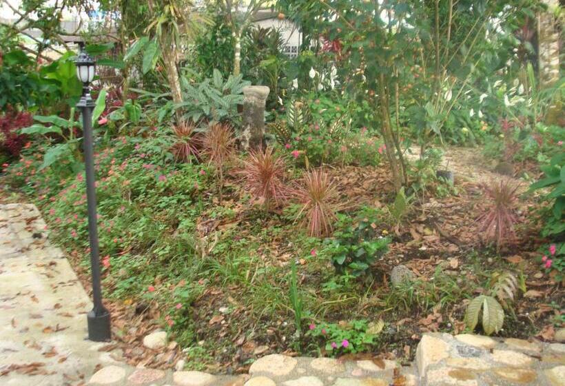 پانسیون Hostal La Molienda