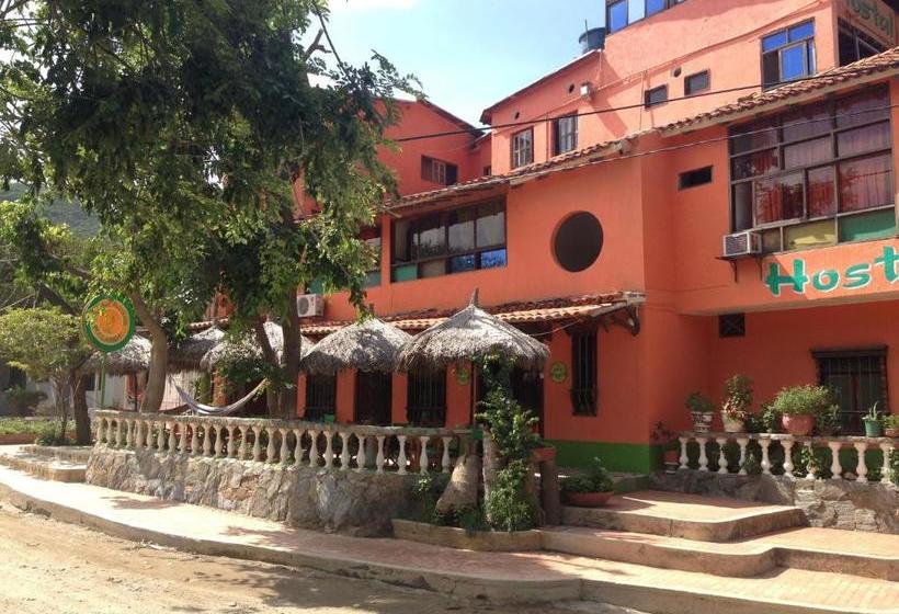 ペンション Hostal Pelikan Taganga