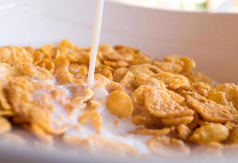 ペンション Hostal Pelikan Taganga