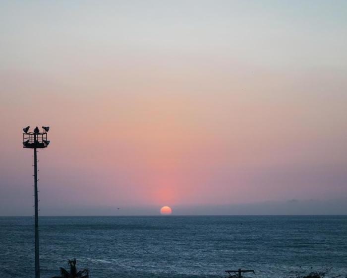 ペンション Hostal Pelikan Taganga