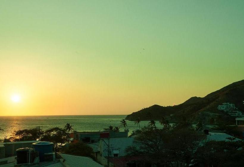 ペンション Hostal Pelikan Taganga