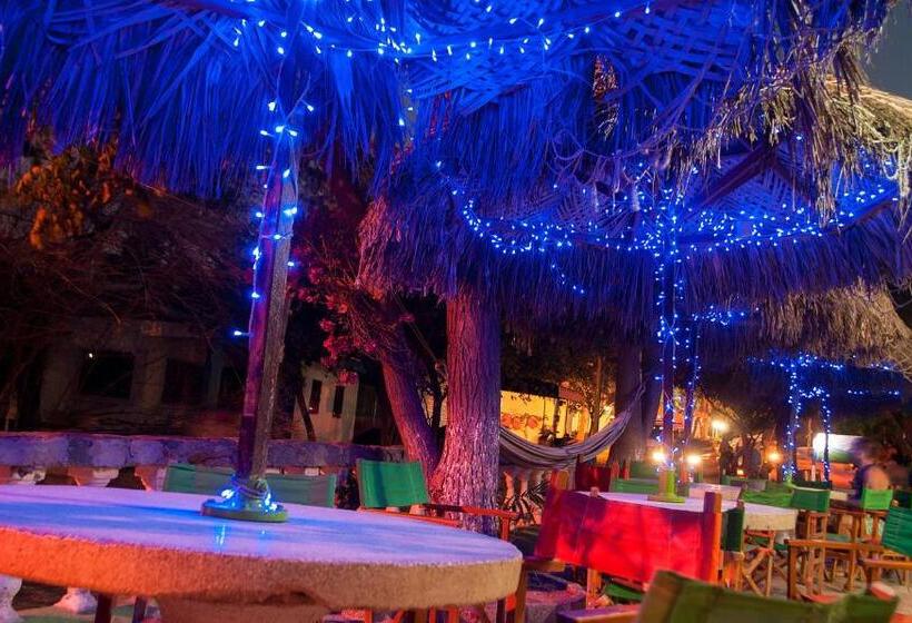 پانسیون Hostal Pelikan Taganga