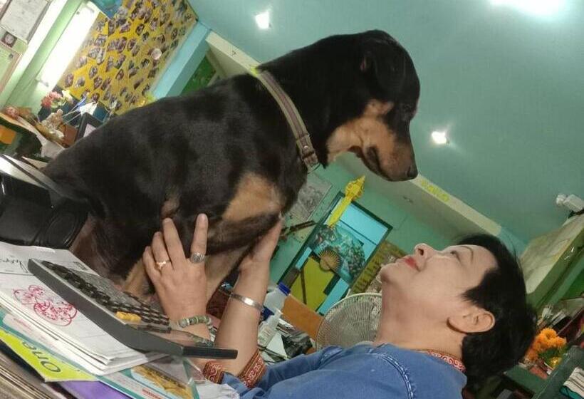 פנסיון Jay Guesthouse And Restaurant