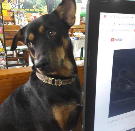 פנסיון Jay Guesthouse And Restaurant