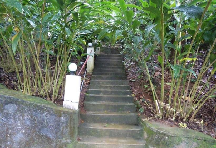 膳宿费 Jojo Cottages