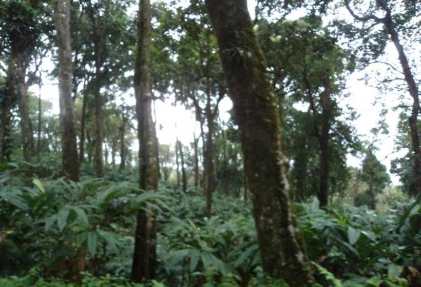 膳宿费 Jojo Cottages