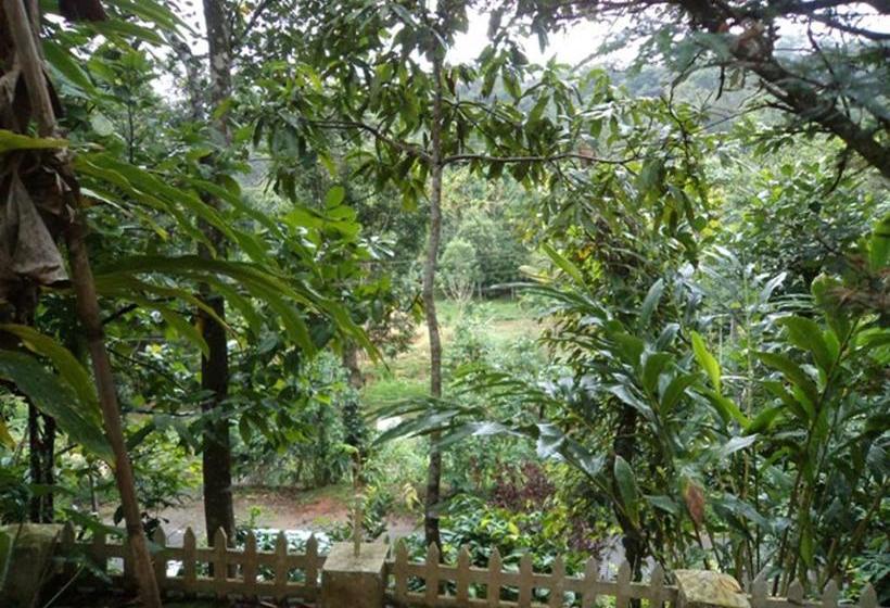 膳宿费 Jojo Cottages