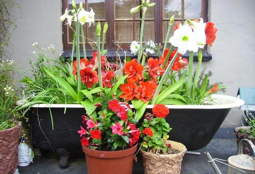 פנסיון Khaya La Manzi Guest Lodge