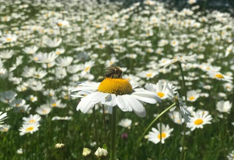פנסיון Penzion Na Vyhlídce