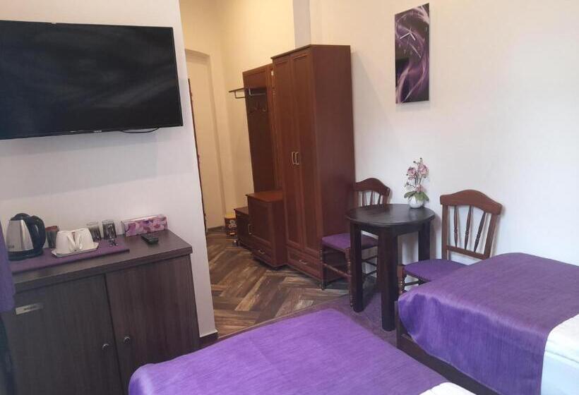 膳宿费 Penzion U Bernardýna