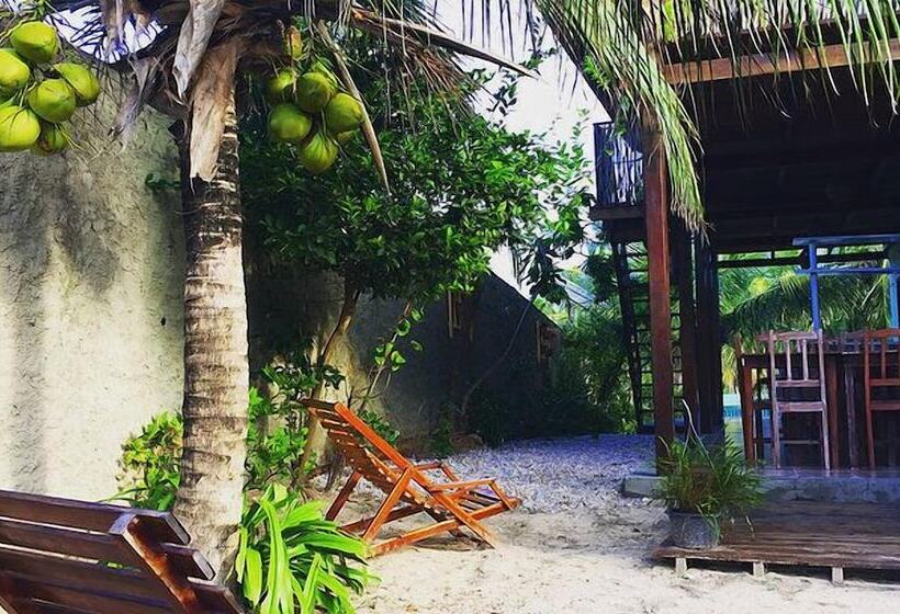 بنسيون Pousada Brisa Del Mar