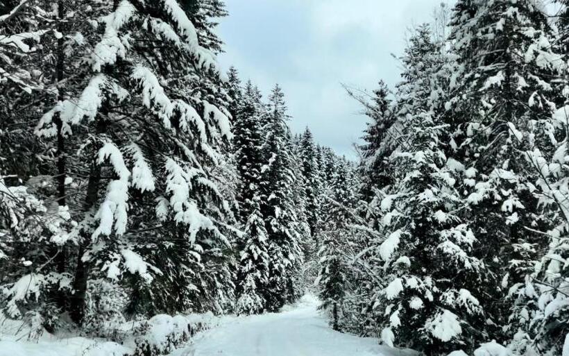 膳宿费 Private House Scherbovets