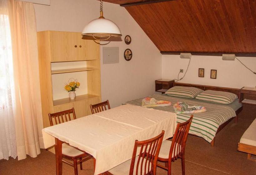 بنسيون Privát   Harrachov 392