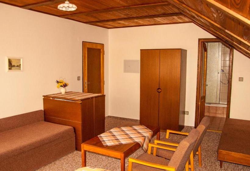 بنسيون Privát   Harrachov 392