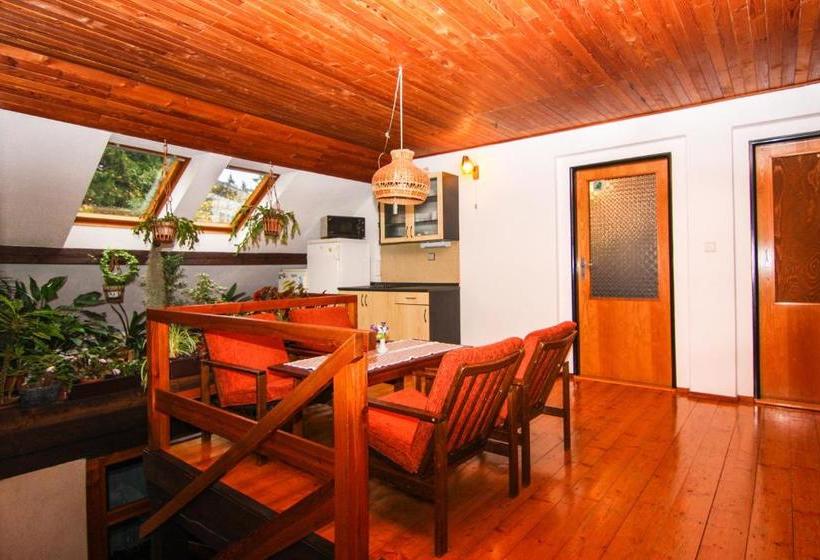 بنسيون Privát   Harrachov 392