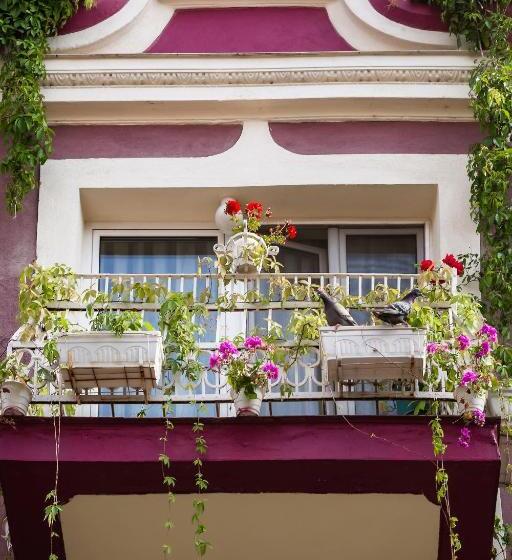 펜션 Residence Art Guest House