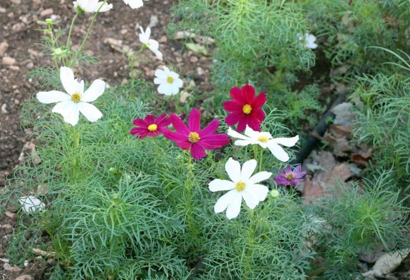 پانسیون Rivotorto Retreat House