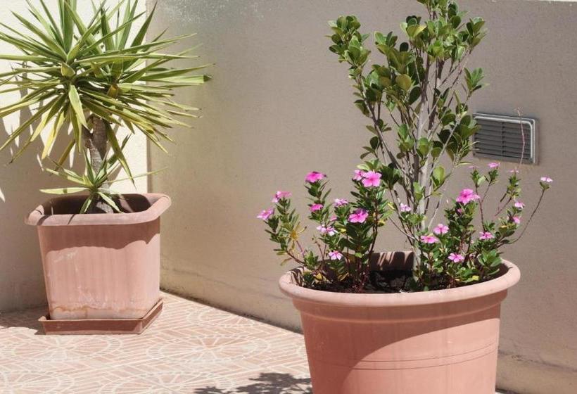 پانسیون Rivotorto Retreat House