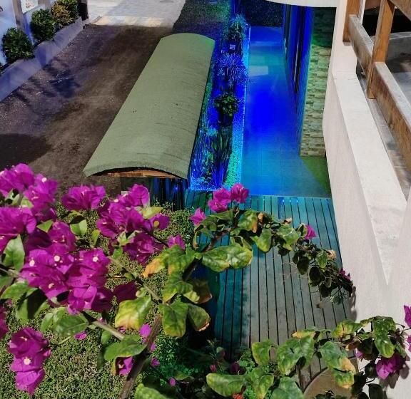 פנסיון Starfish