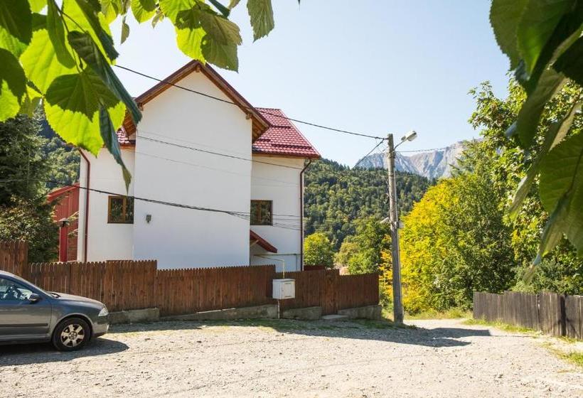 Пансион Vila Alma Azuga