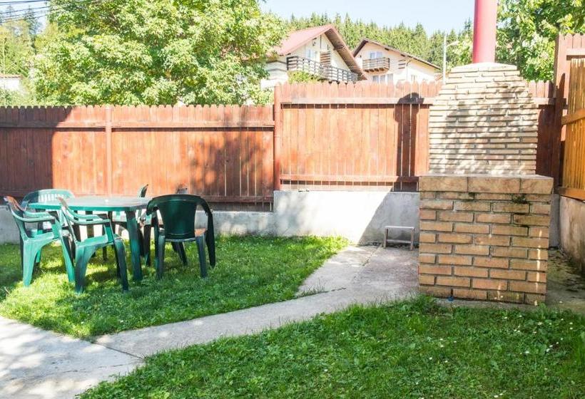 Пансион Vila Alma Azuga