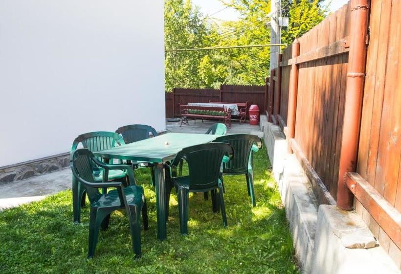 Пансион Vila Alma Azuga