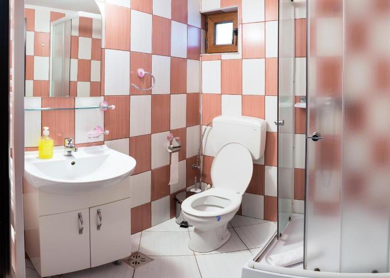 Пансион Vila Alma Azuga