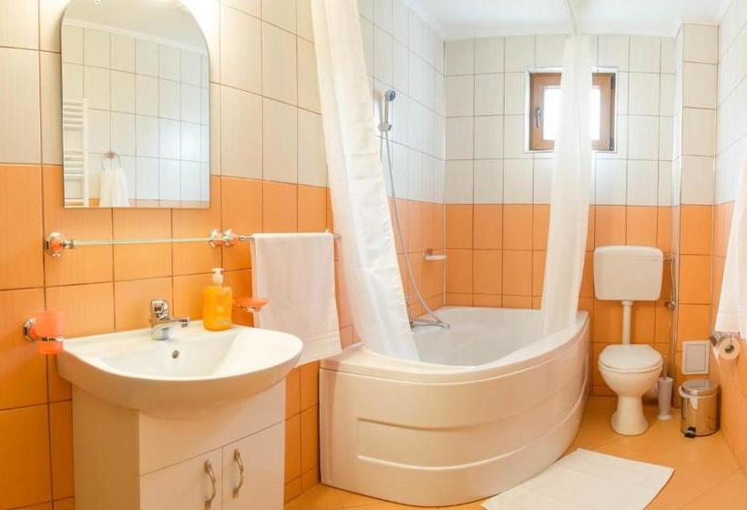 Пансион Vila Alma Azuga