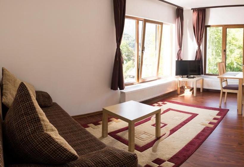 Пансион Vila Alma Azuga