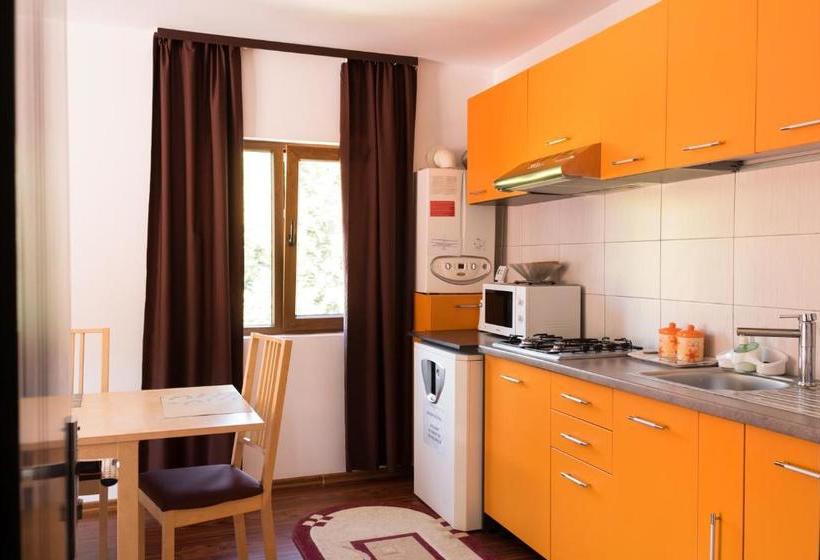 Пансион Vila Alma Azuga