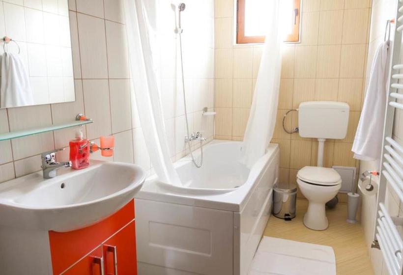 Пансион Vila Alma Azuga