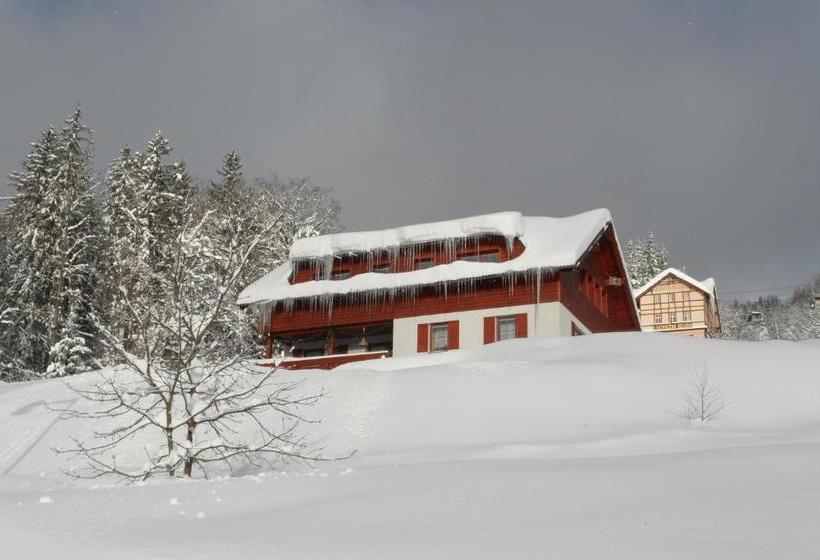 ペンション Vila Kamila