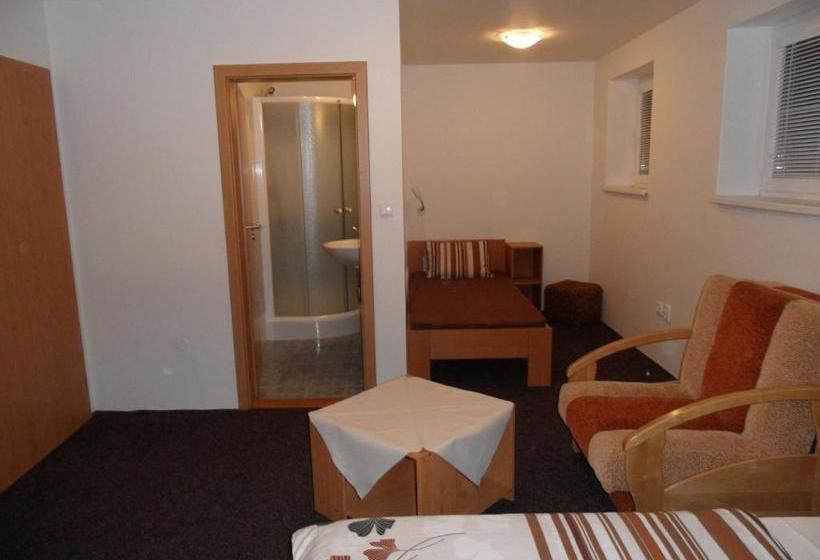 ペンション Vila Kamila