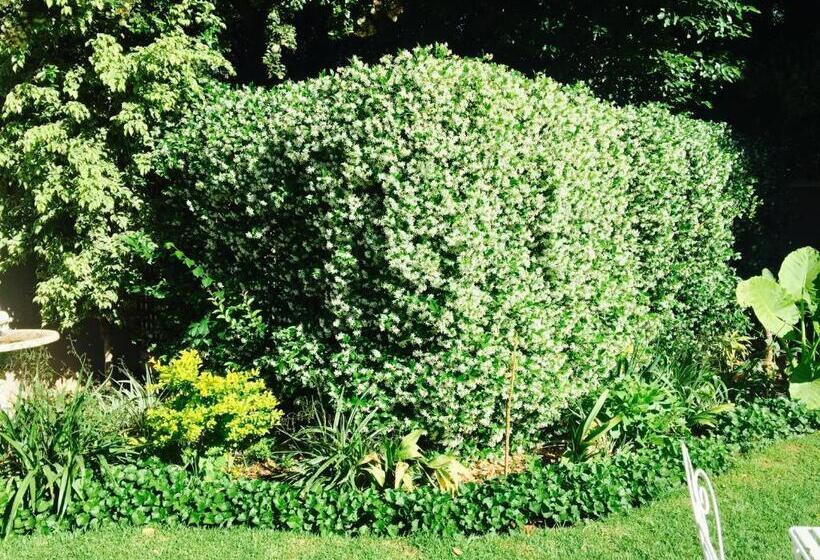 膳宿费 Waterkloof Guest House