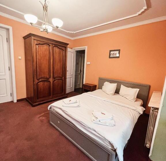 Pensiunea Curtea Bavareza