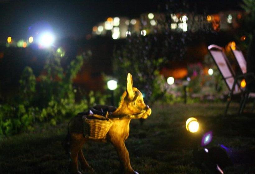 ユースホステル Big Garden Bahçeli Konak