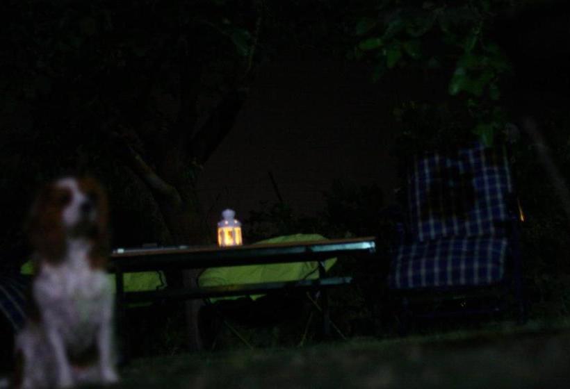 ユースホステル Big Garden Bahçeli Konak