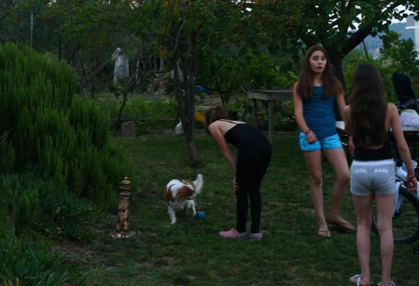 ユースホステル Big Garden Bahçeli Konak