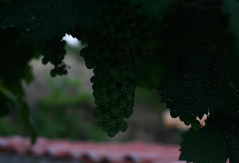 ユースホステル Big Garden Bahçeli Konak