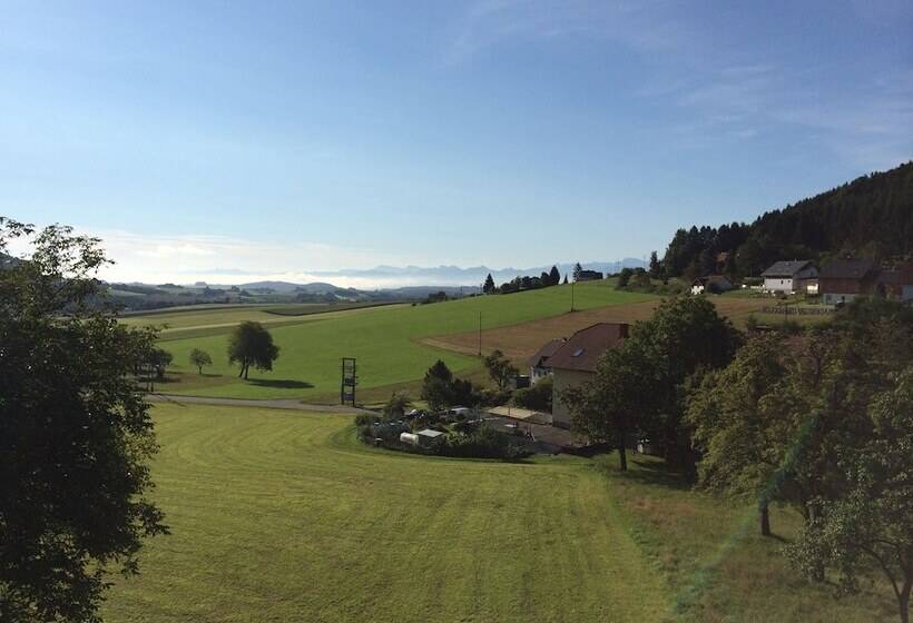 Общежитие Harmonie Stüberl