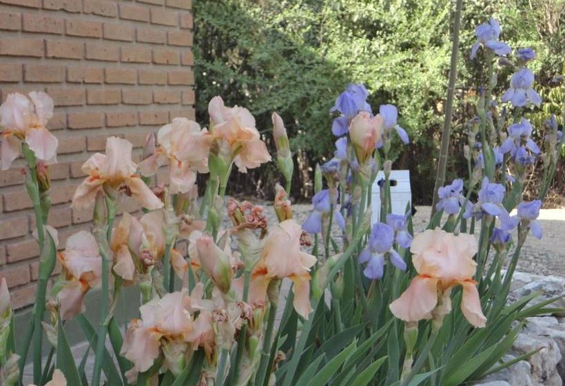 هاستل Posada La Escondida