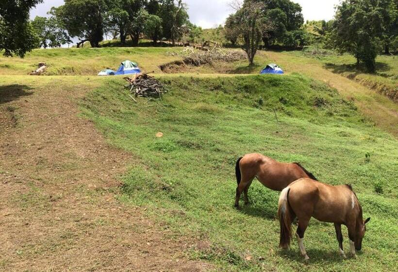 호스텔 Rancho Juancho