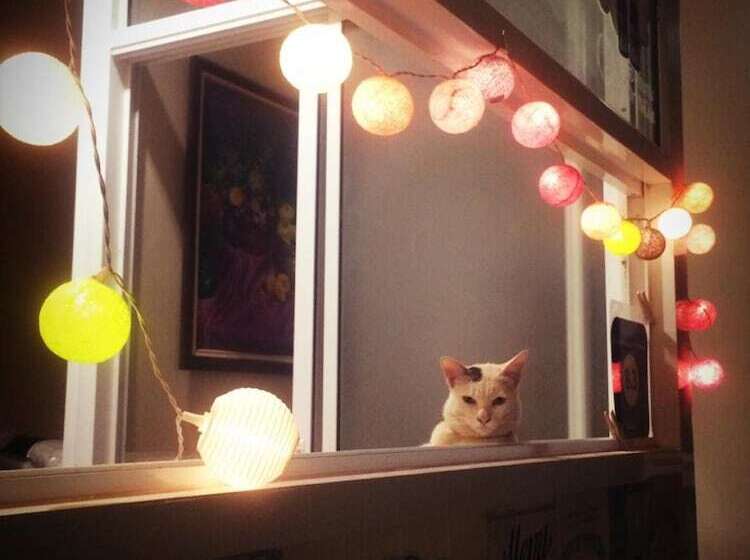 ユースホステル Thorfun Guesthouse In The Garden