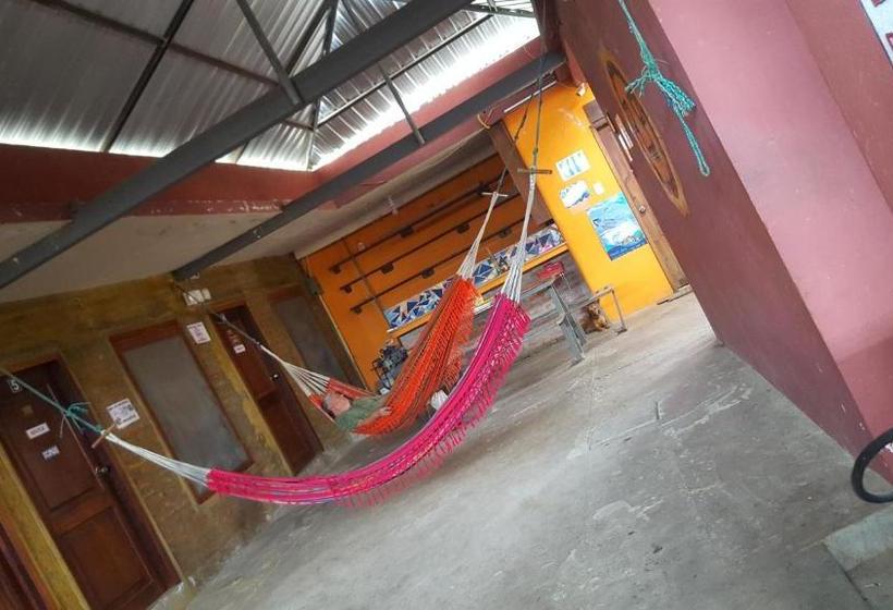 Hostel Hospedaje Dannita B&b