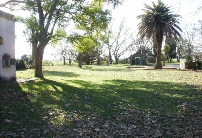 Отель Haras L'etalon