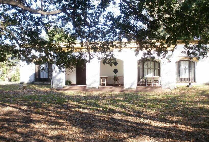 Отель Haras L'etalon