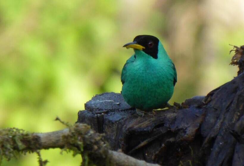 فندق La Purruja Lodge